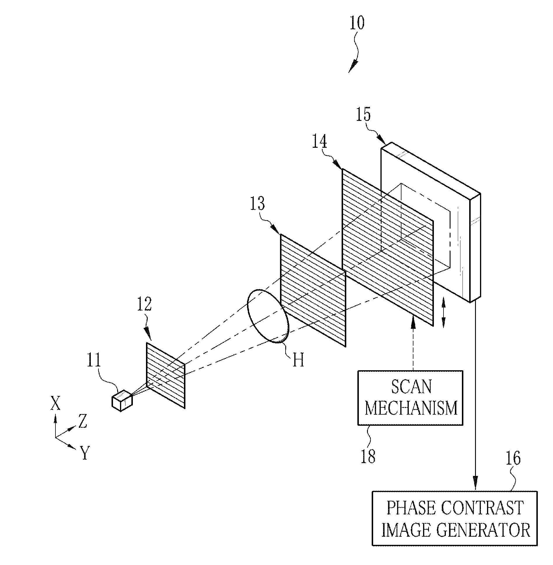 Grid for radiography, radiation image detector, radiation imaging system, and method for manufacturing grid