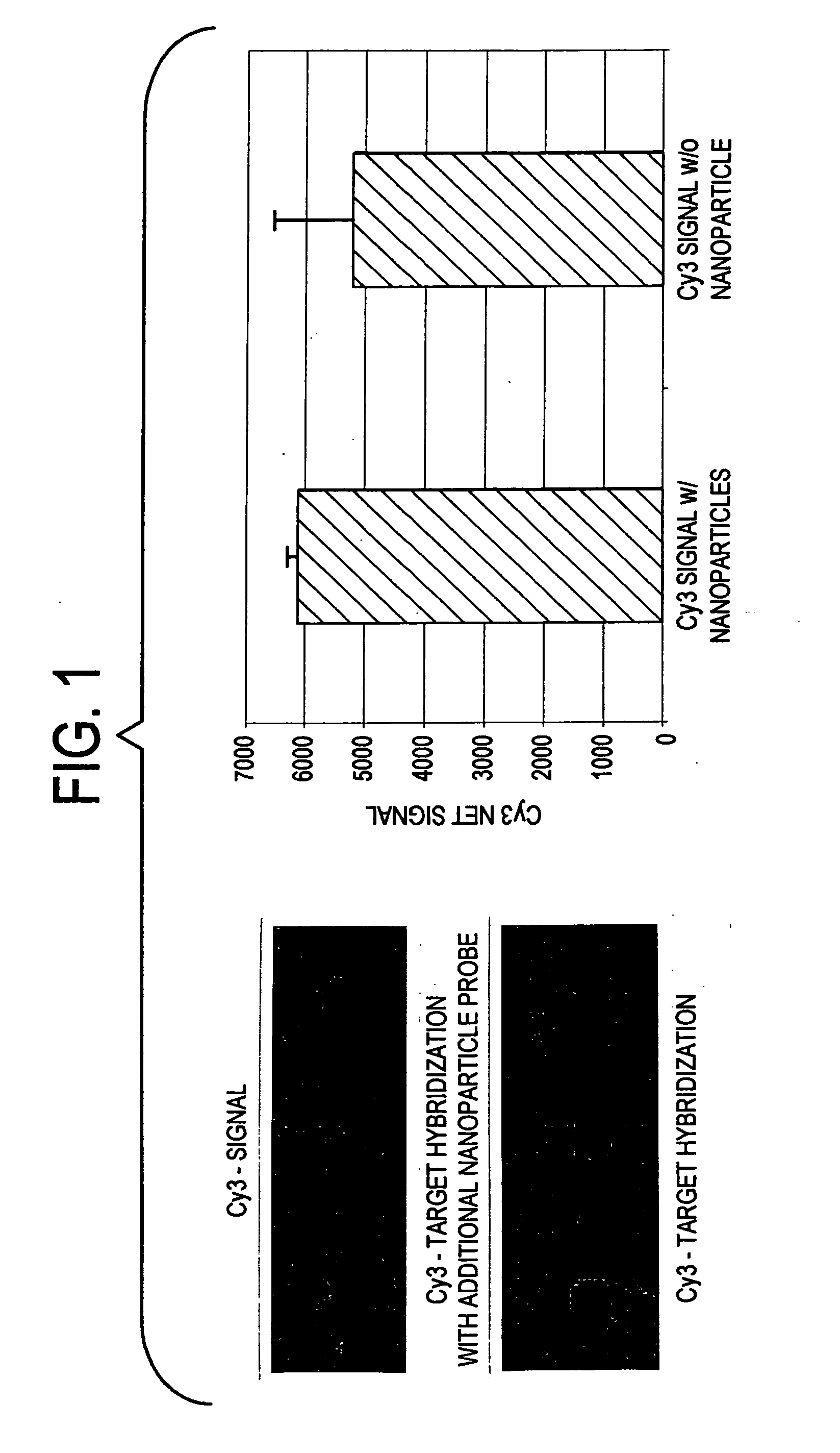 Label-free gene expression profiling with universal nanoparticle probes in microarray assay format