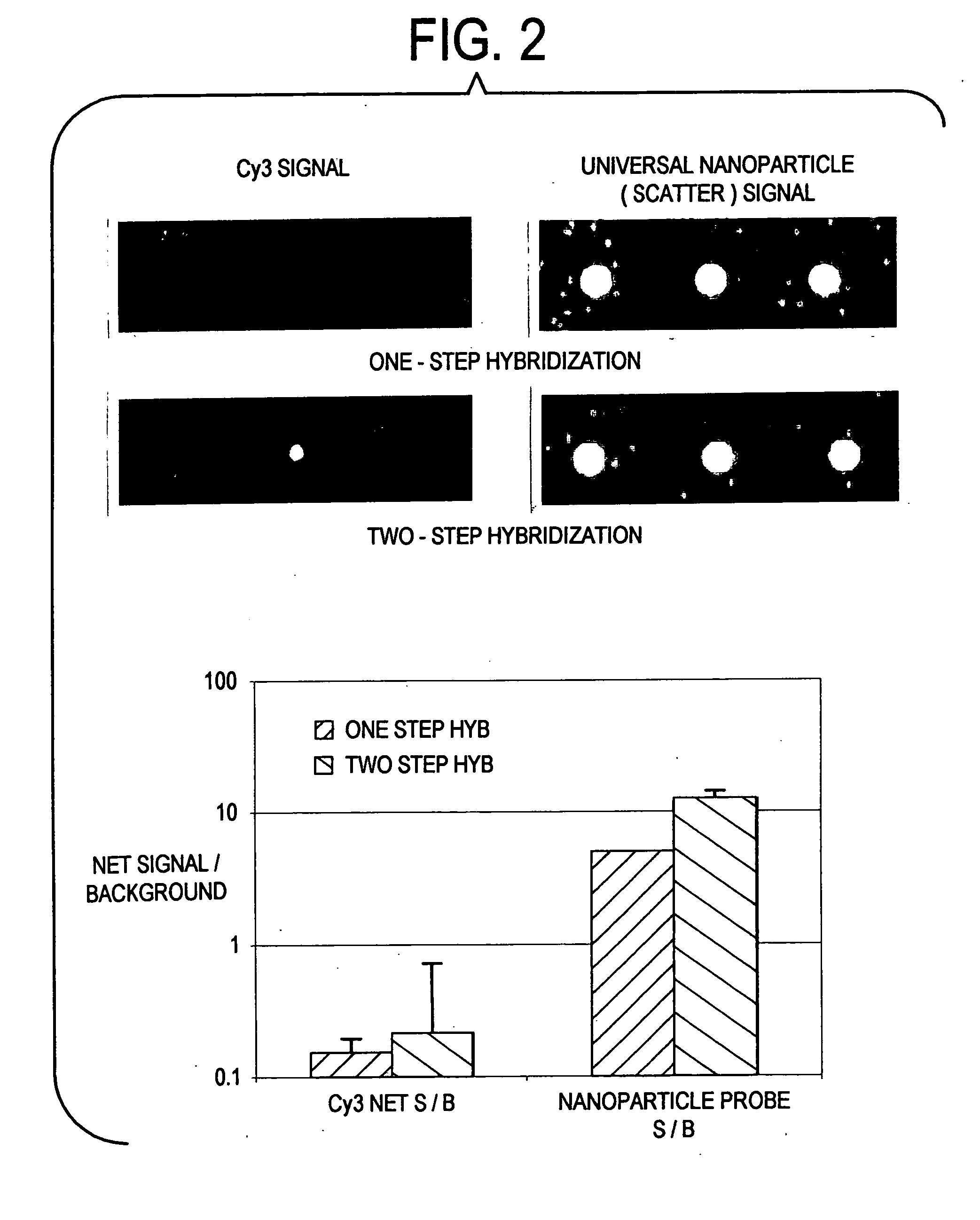 Label-free gene expression profiling with universal nanoparticle probes in microarray assay format