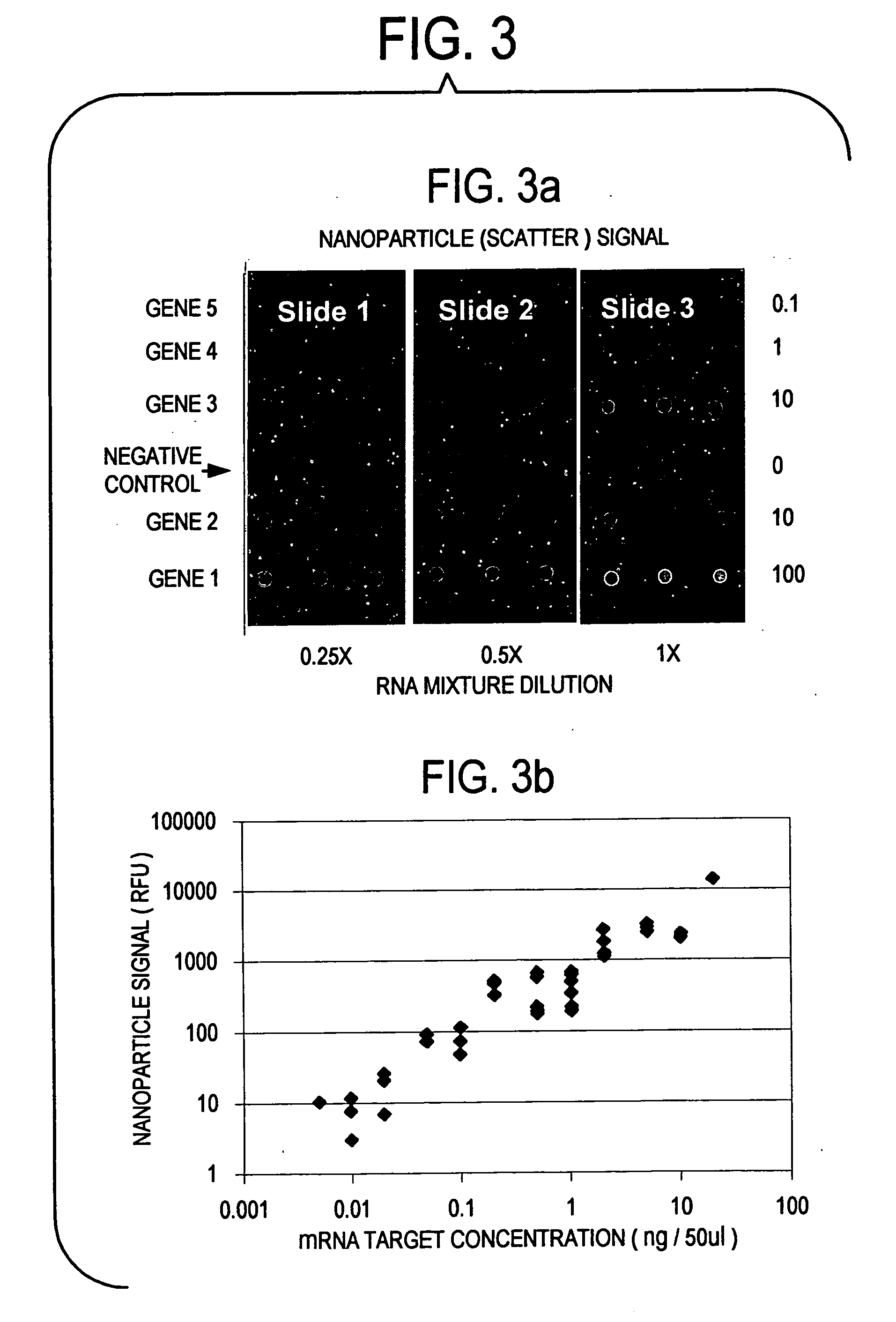 Label-free gene expression profiling with universal nanoparticle probes in microarray assay format