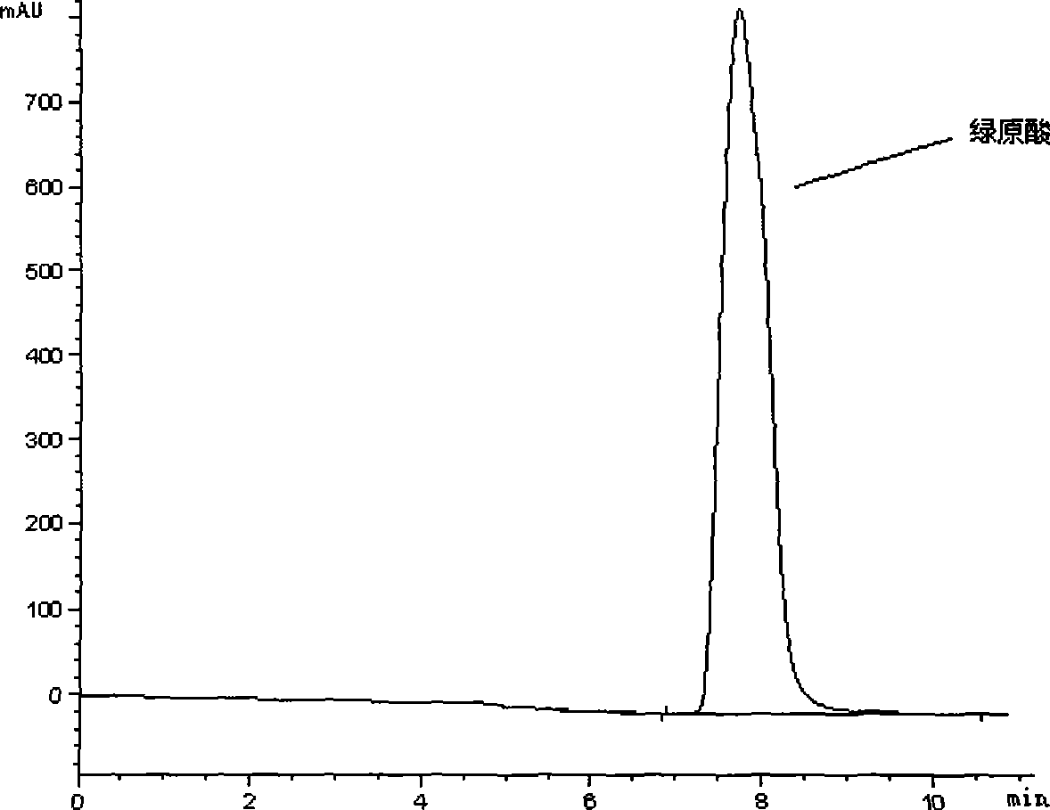 Method for extracting and separating chlorogenic acid from chrysanthemum