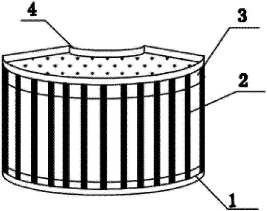 Fan-shaped ecological bank protection body and bank protection structure adopting bank protection body