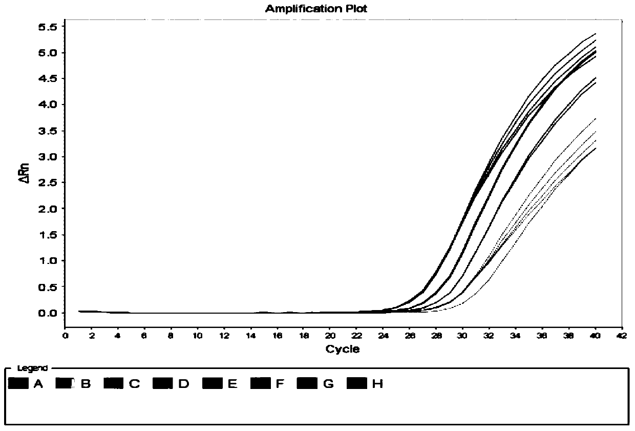 A kit for detecting hepatitis C virus nucleic acid using one-step real-time fluorescent quantitative RT-qPCR