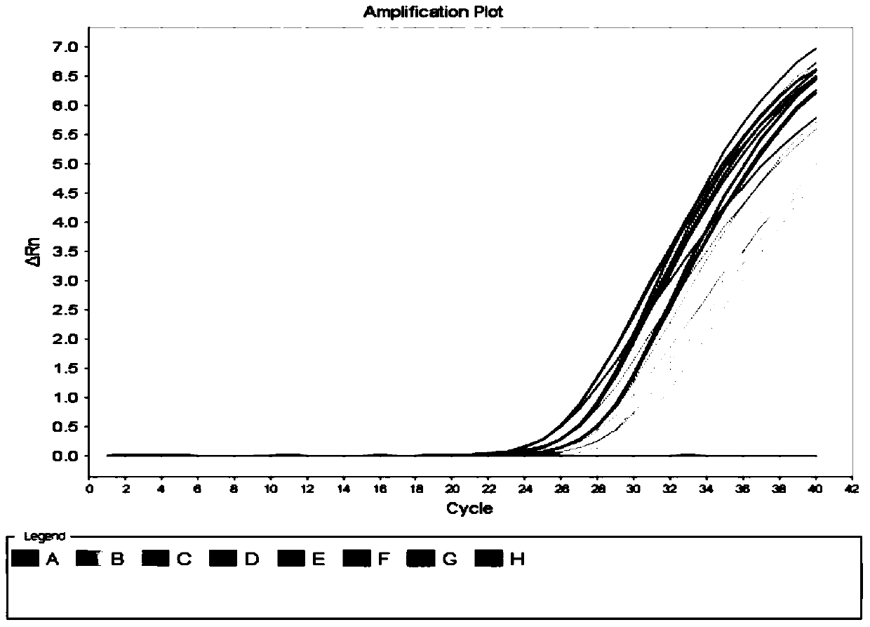 A kit for detecting hepatitis C virus nucleic acid using one-step real-time fluorescent quantitative RT-qPCR