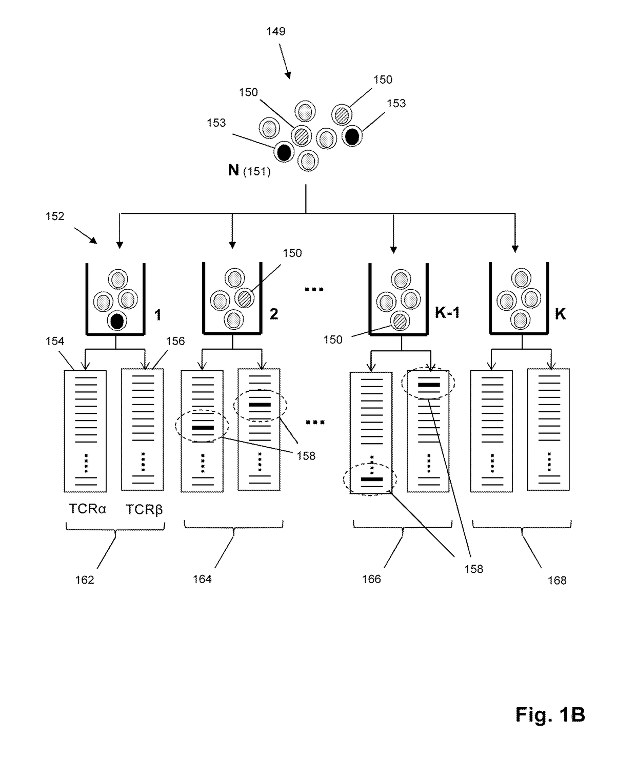 Determining paired immune receptor chains from frequency matched subunits