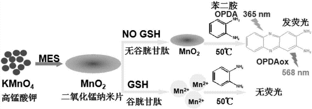 Fluorescence bio-sensing method for detecting glutathione