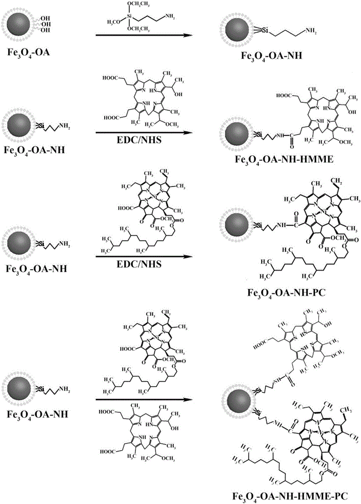 Preparation method and application of photosensitive magnetic nanoparticle system capable of inhibiting growth of breast cancer cells