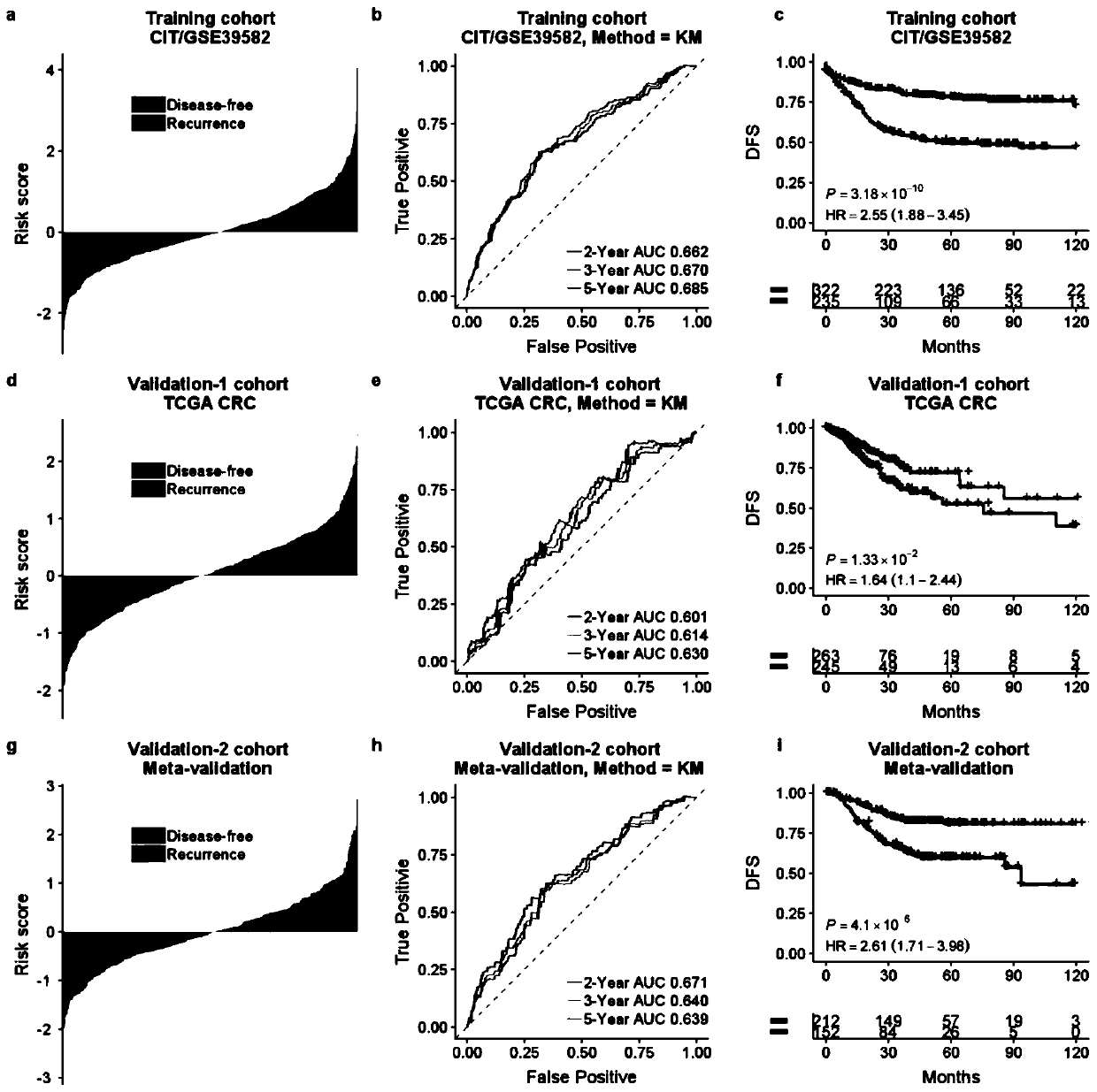 Application of immune-related gene in kit and system for prognosis of colorectal cancer