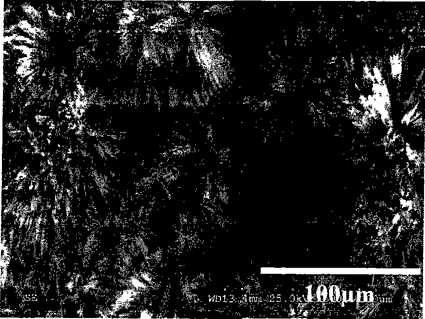 Preparation of super-hydrophobic surface for metal anti-corrosive and self-cleaning effects