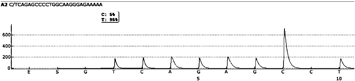 Primer pair and kit for detecting hepatitis B canceration susceptibility gene polymorphism