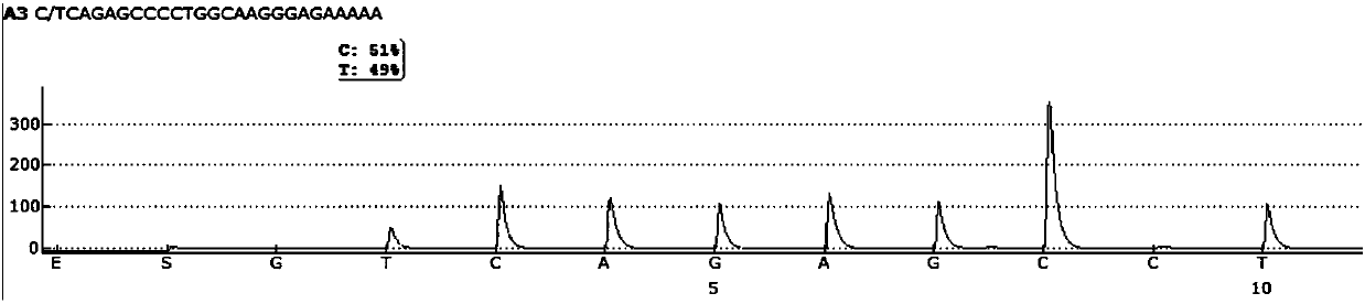 Primer pair and kit for detecting hepatitis B canceration susceptibility gene polymorphism