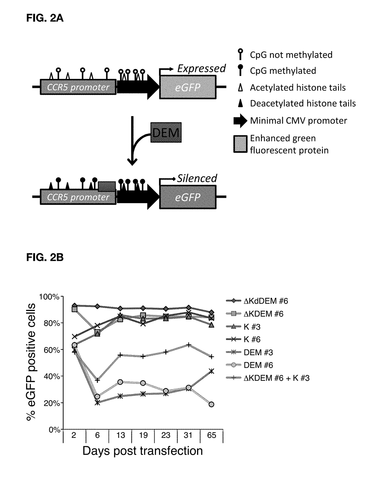 Construct for epigenetic modification and its use in the silencing of genes