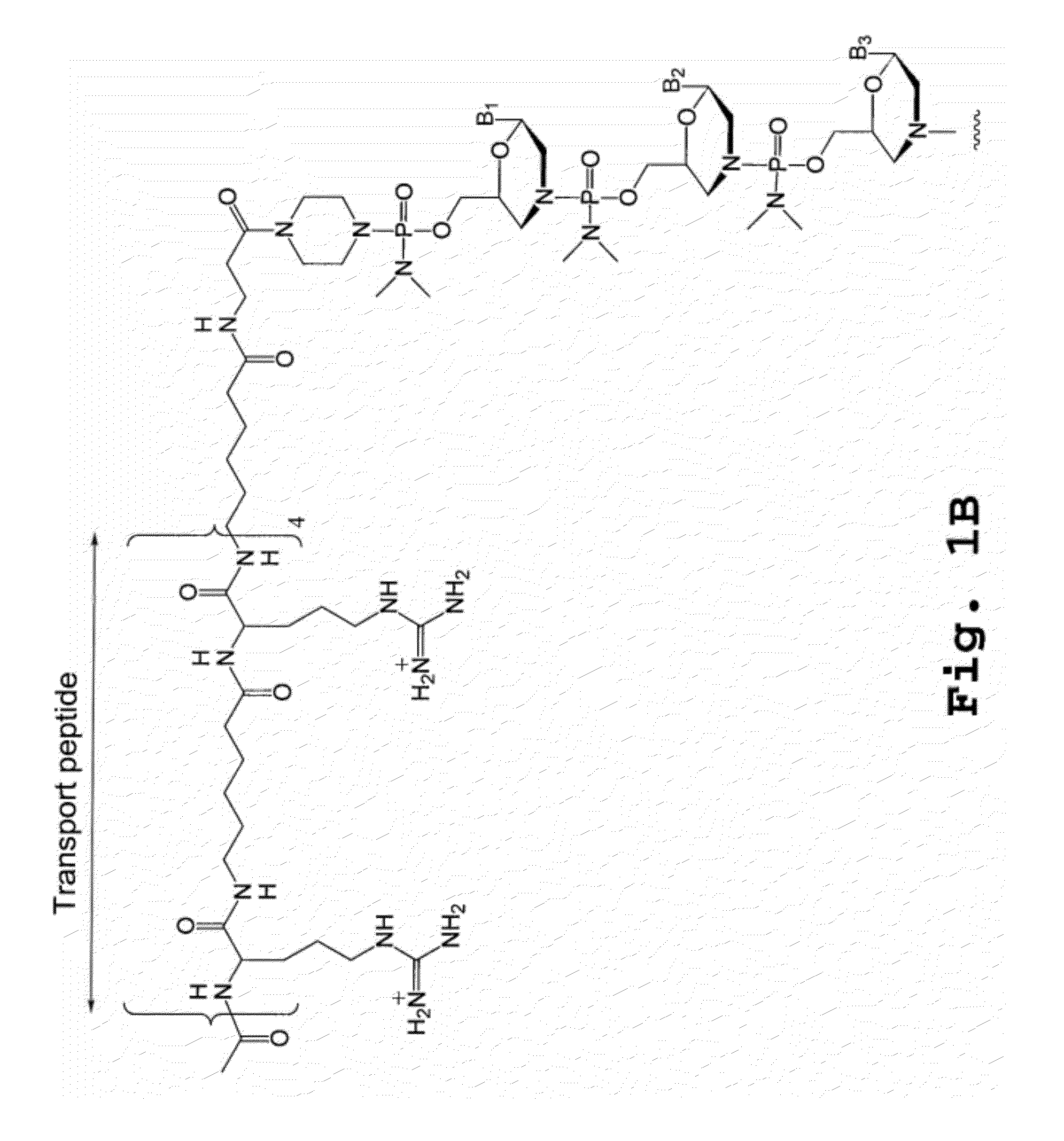 Compound and method for treating myotonic dystrophy