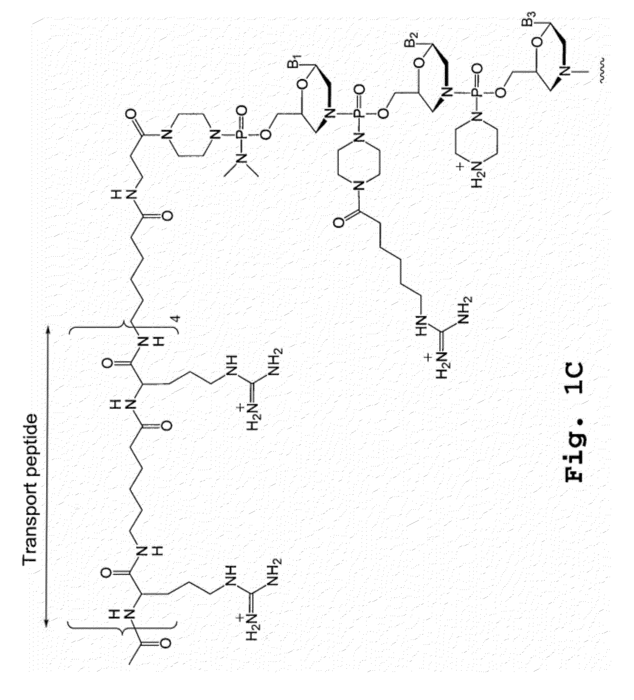 Compound and method for treating myotonic dystrophy