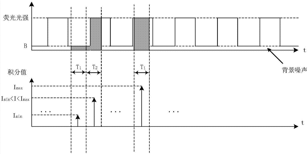 Method for measuring free hemoglobin in blood bag based on double-light-path within-frequency-domain fluorescence intensities