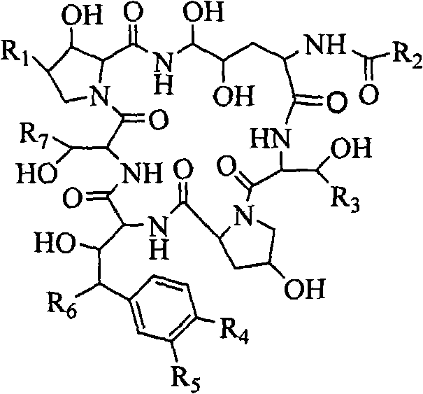 Echinocandin biotransformation method