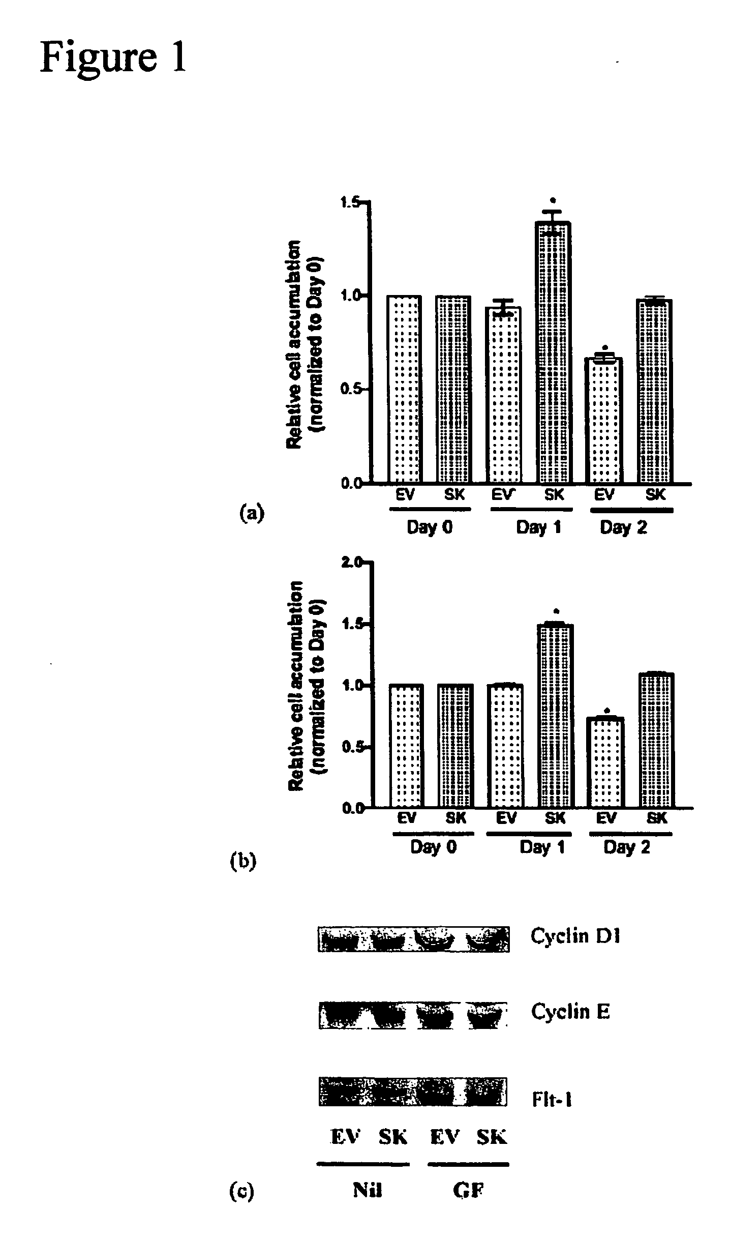 Method of modulating epithelial cell activity by modulating the functional levels of sphingosine kinase