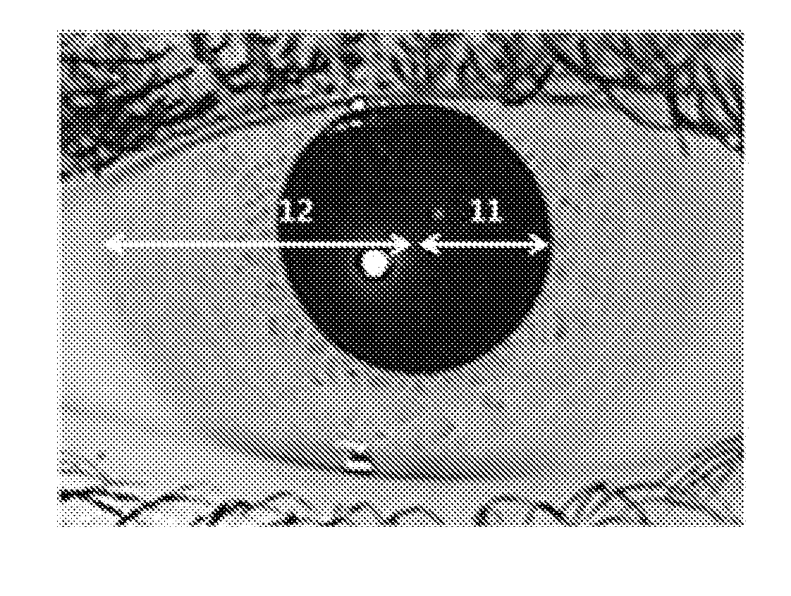 Device and method for iris recognition using a plurality of iris images having different iris sizes