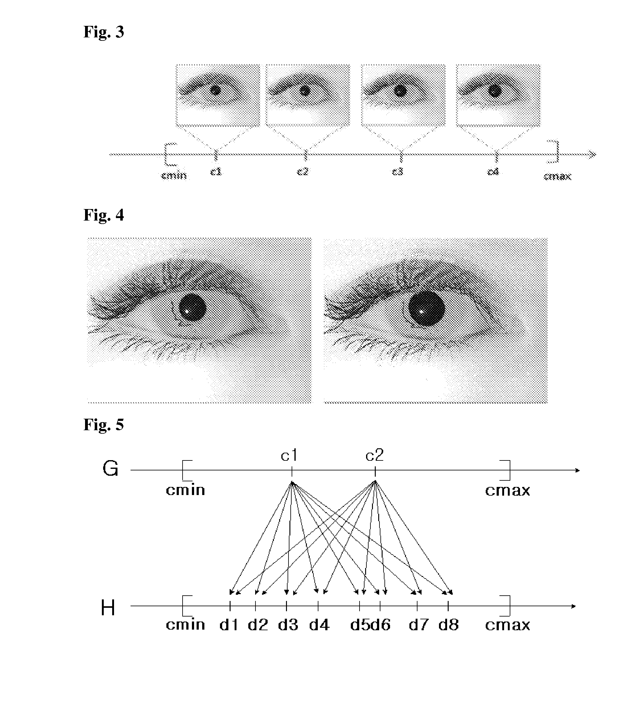 Device and method for iris recognition using a plurality of iris images having different iris sizes