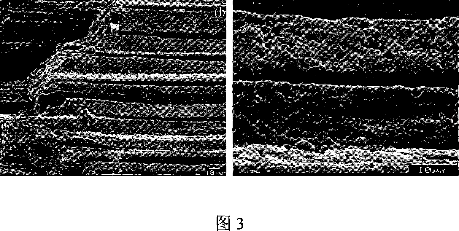 Modified freeze dehydration method for preparing porous material