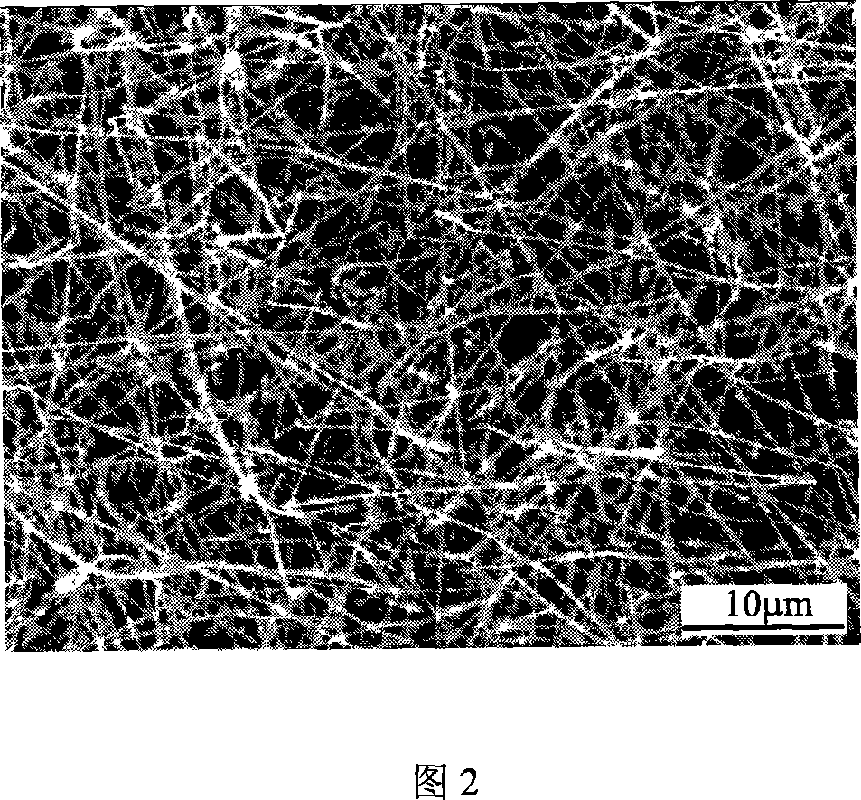 Preparation method of tin mixed with zinc oxide nanowire