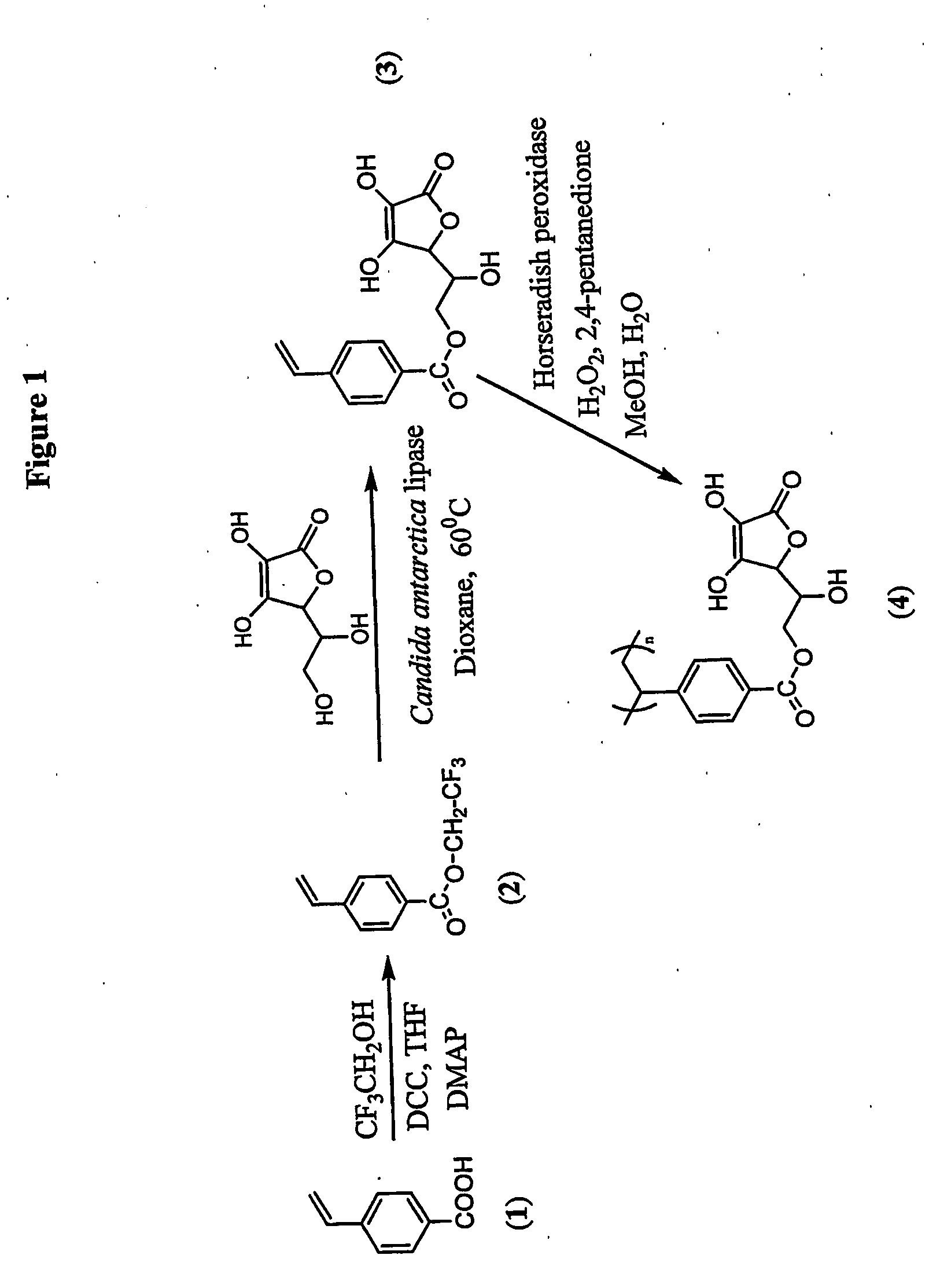 Antioxidant-functionalized polymers