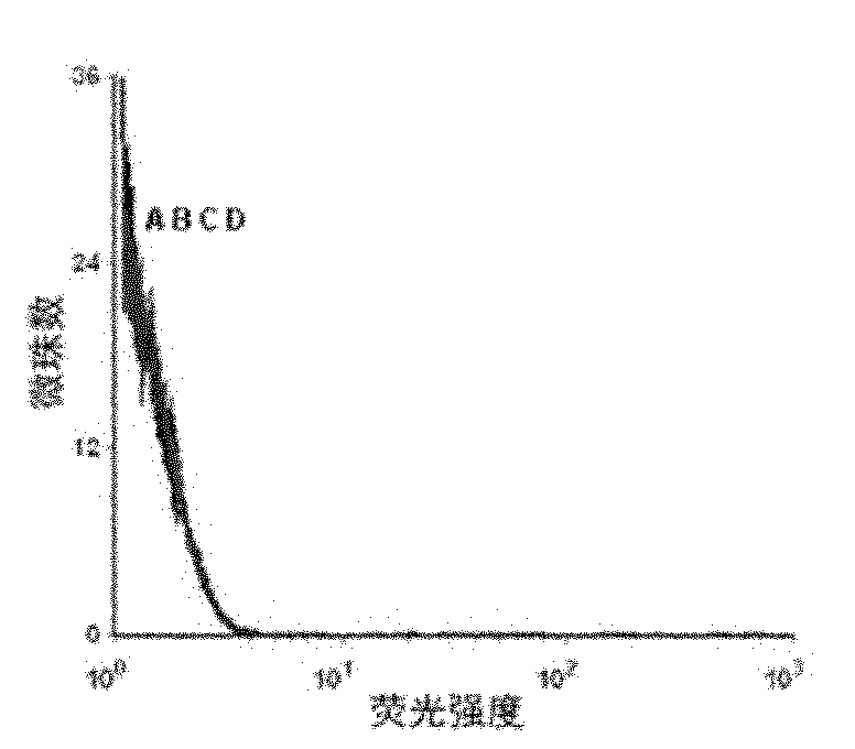 Nucleic acid aptamer of protein tyrosine phosphatase SHP2 and preparation method thereof