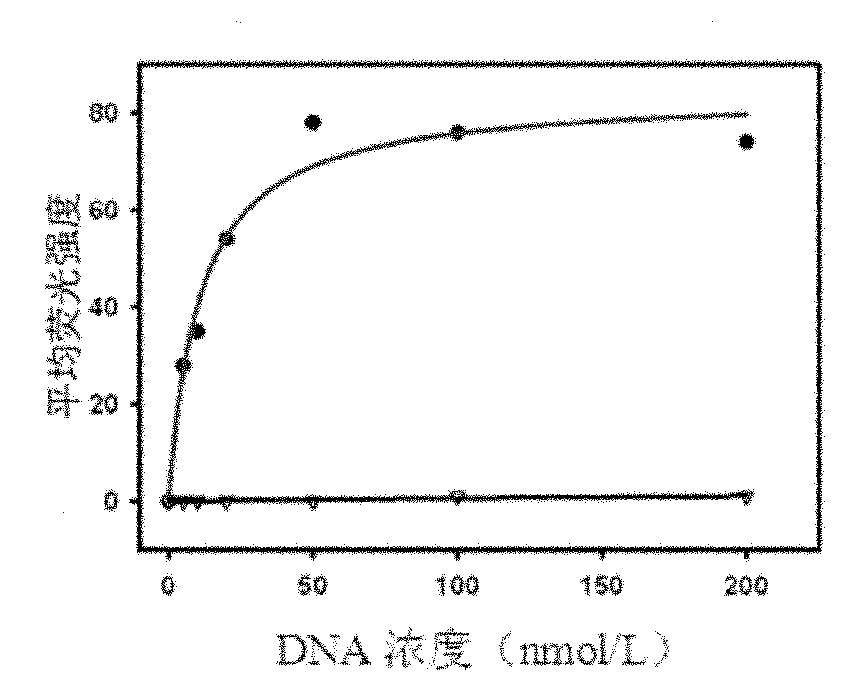 Nucleic acid aptamer of protein tyrosine phosphatase SHP2 and preparation method thereof