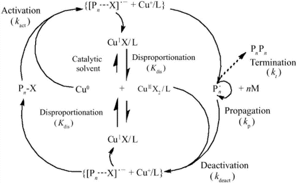 Hydrogel based on single-stranded ultra-internal cyclopolymer and application of hydrogel