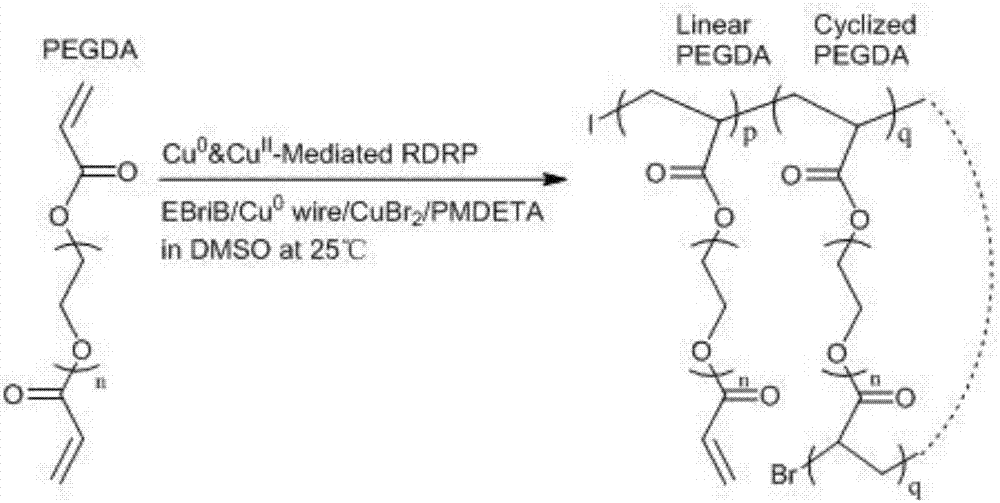 Hydrogel based on single-stranded ultra-internal cyclopolymer and application of hydrogel