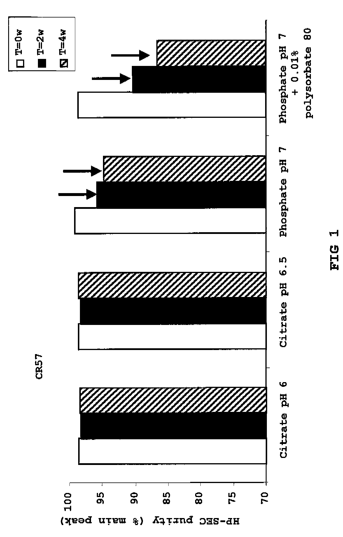 Liquid anti-rabies antibody formulations