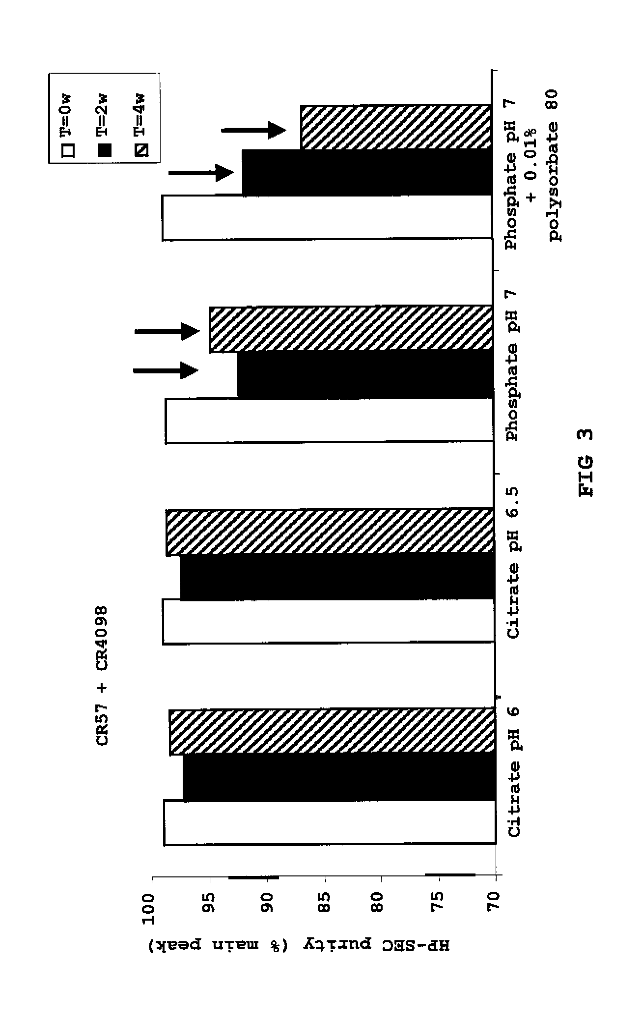 Liquid anti-rabies antibody formulations