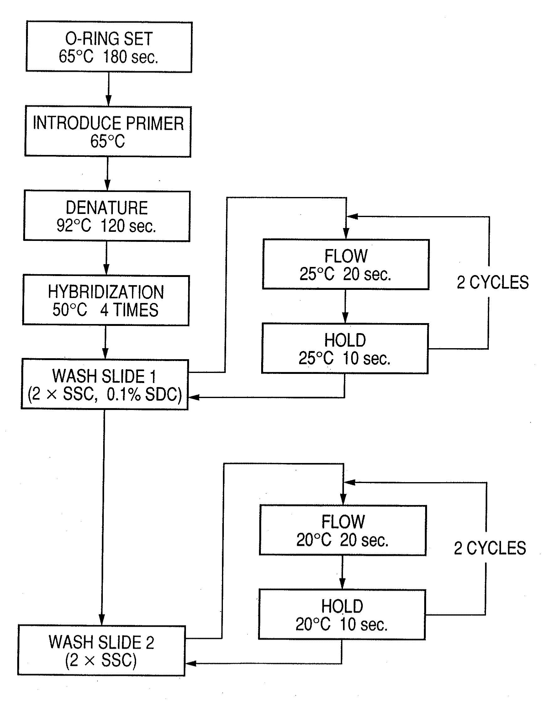 Probe, probe set, probe carrier, and testing method