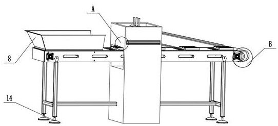 Auxiliary material feeding device for marine product production