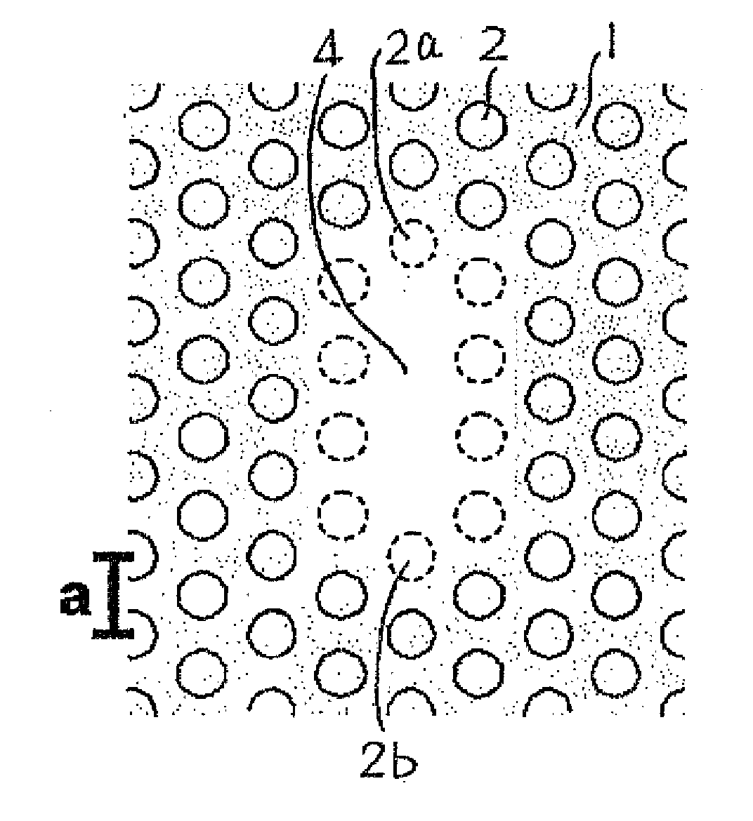 Two-Dimensional Photonic Crystal Cavity and Channel Add/Drop Filter