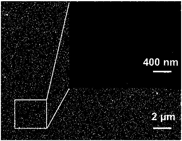 A kind of sol and method for preparing surface-enhanced Raman substrate