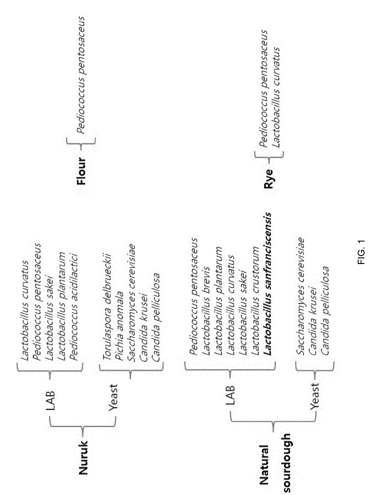 Natural lactic acid bacteria isolated from korean traditional nuruk to be used for bakery