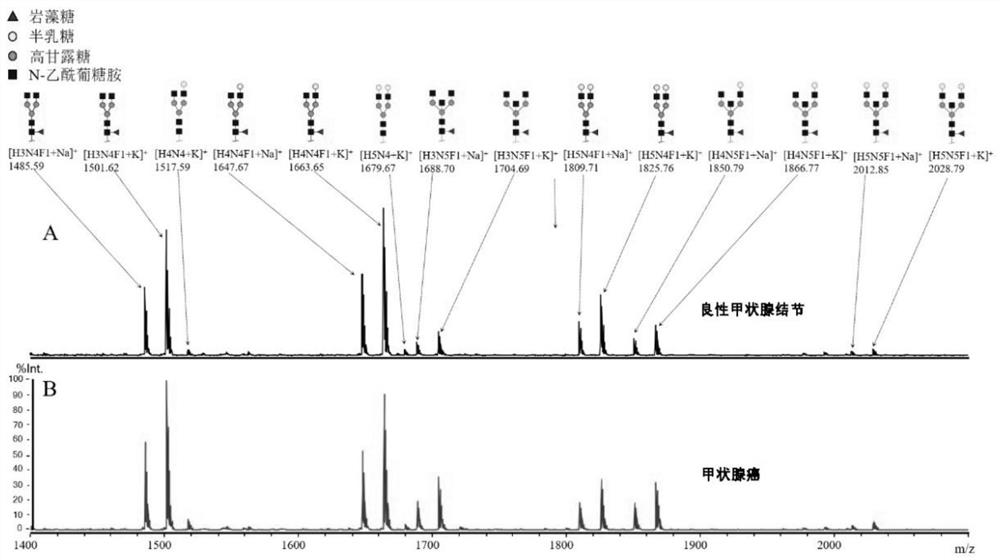 Product and method for identifying, diagnosing and evaluating thyroid cancer