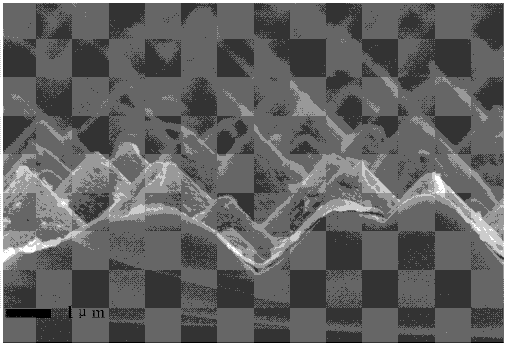 A transition metal oxide-silicon heterojunction solar cell and its preparation method