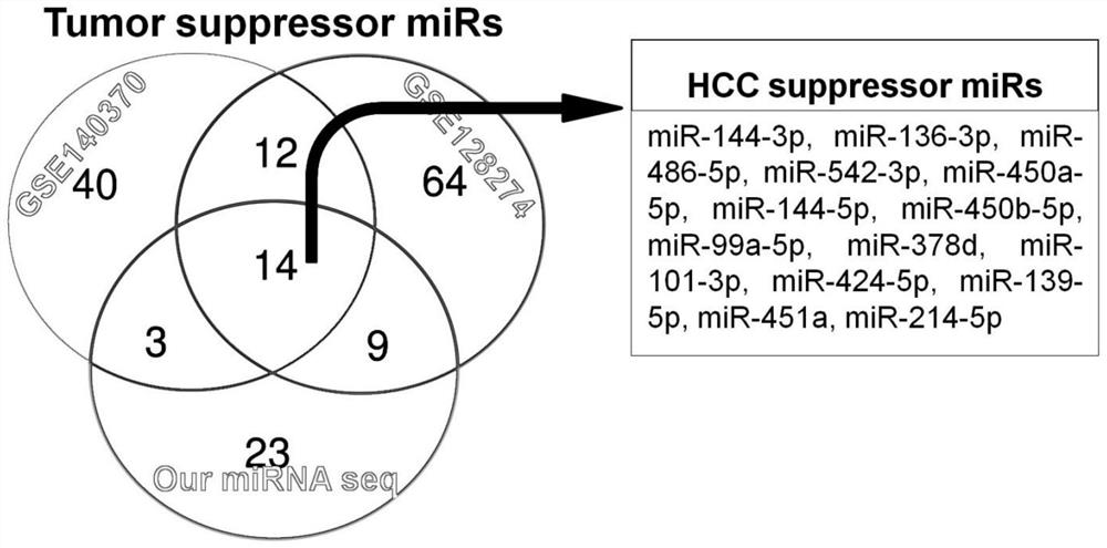 A kind of hepatocellular carcinoma marker and detection kit