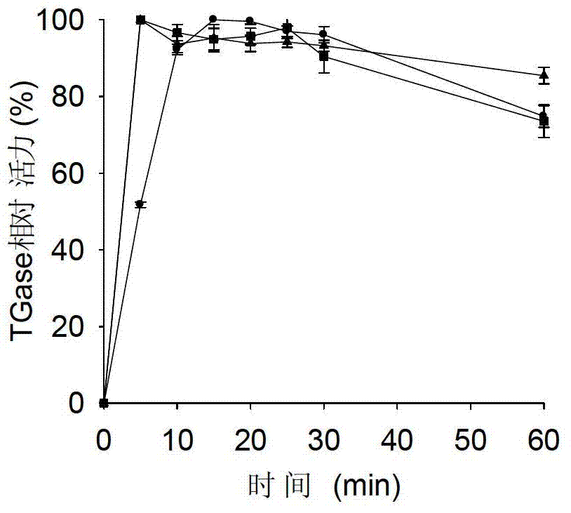 Method for improving specific activity and activation efficiency of transglutaminase