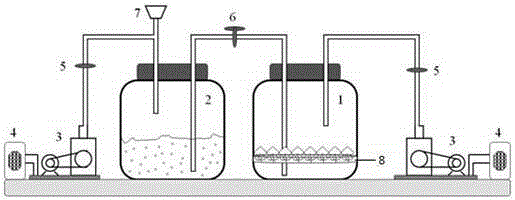 A tidal bioreactor and method for cultivating lily seed balls