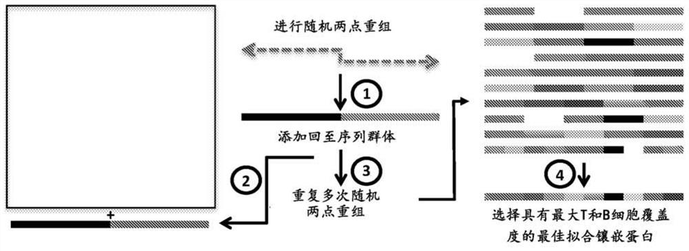 Methods of making and using universal centralized influenza vaccine genes