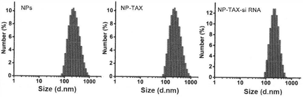 Preparation method of tumor-targeting nanoparticle carrier co-loaded with breast cancer chemotherapy drug mtdh siRNA