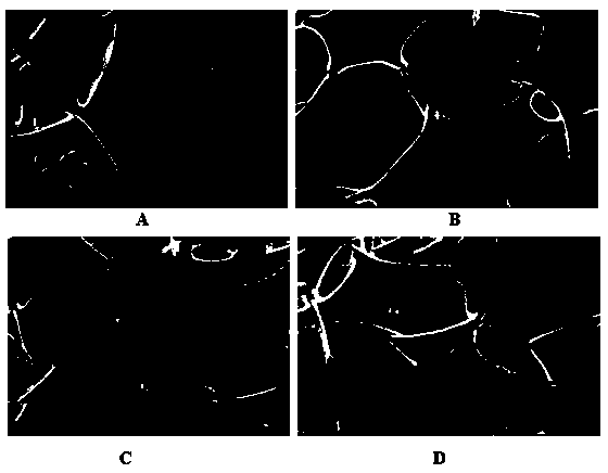 Polyurethane foam surface-coupled β-cyclodextrin adsorption material and its preparation method and application