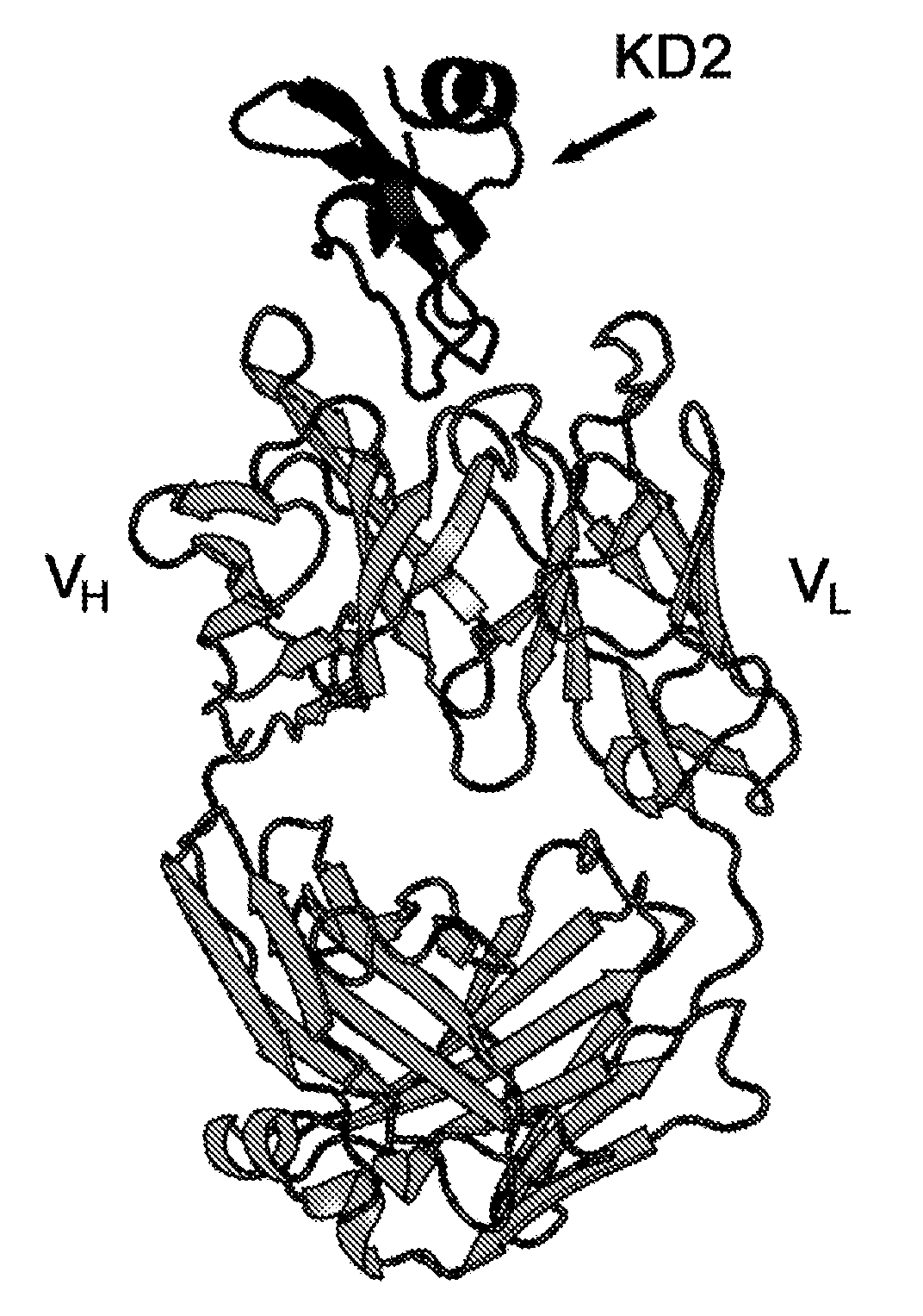 Monoclonal antibodies against tissue factor pathway inhibitor (TFPI)