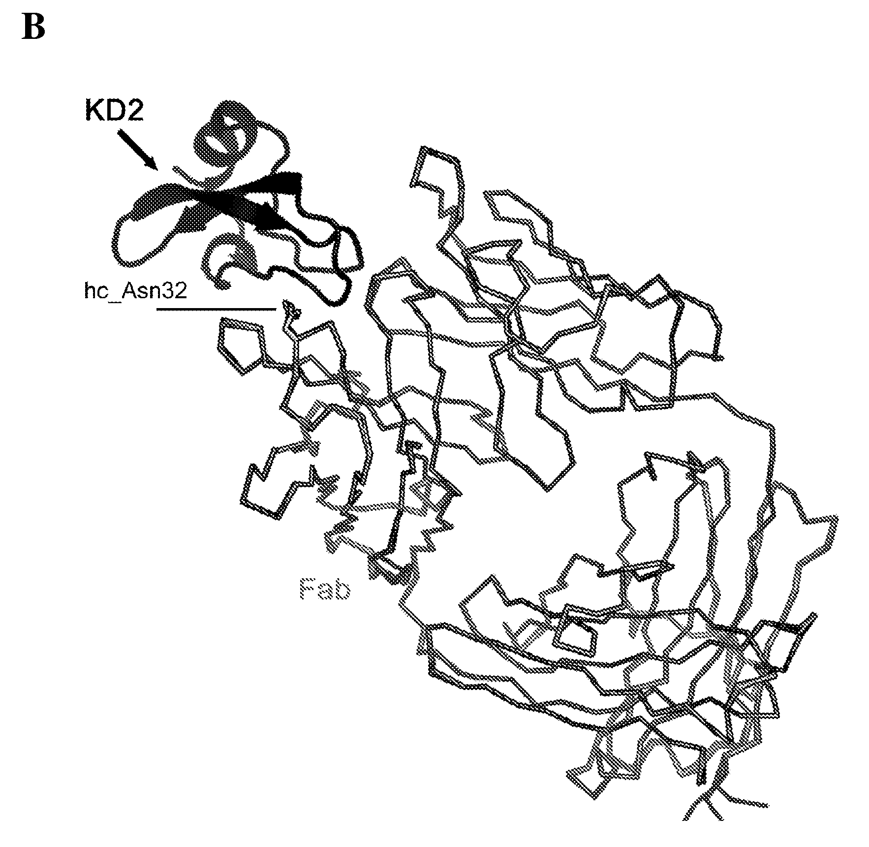 Monoclonal antibodies against tissue factor pathway inhibitor (TFPI)