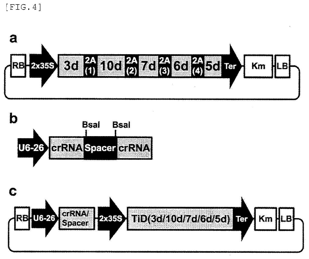 Target sequence specific alteration technology using nucleotide target recognition