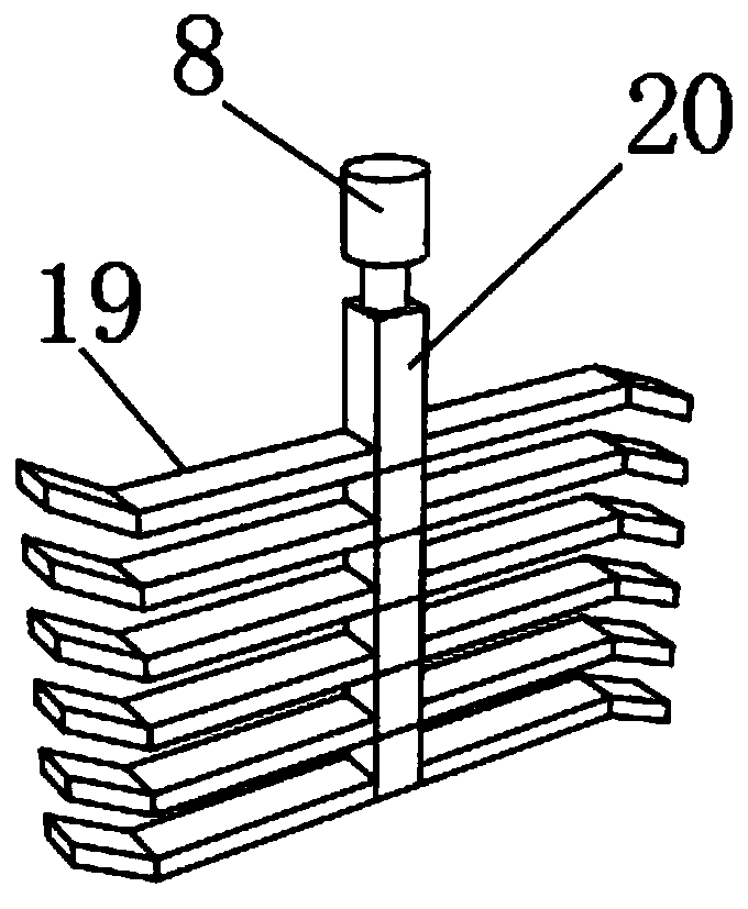 Feeding device for chicken feed in animal husbandry