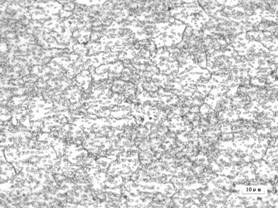 High-quenching-hardness martensitic stainless steel coil for measuring tool and preparation method thereof